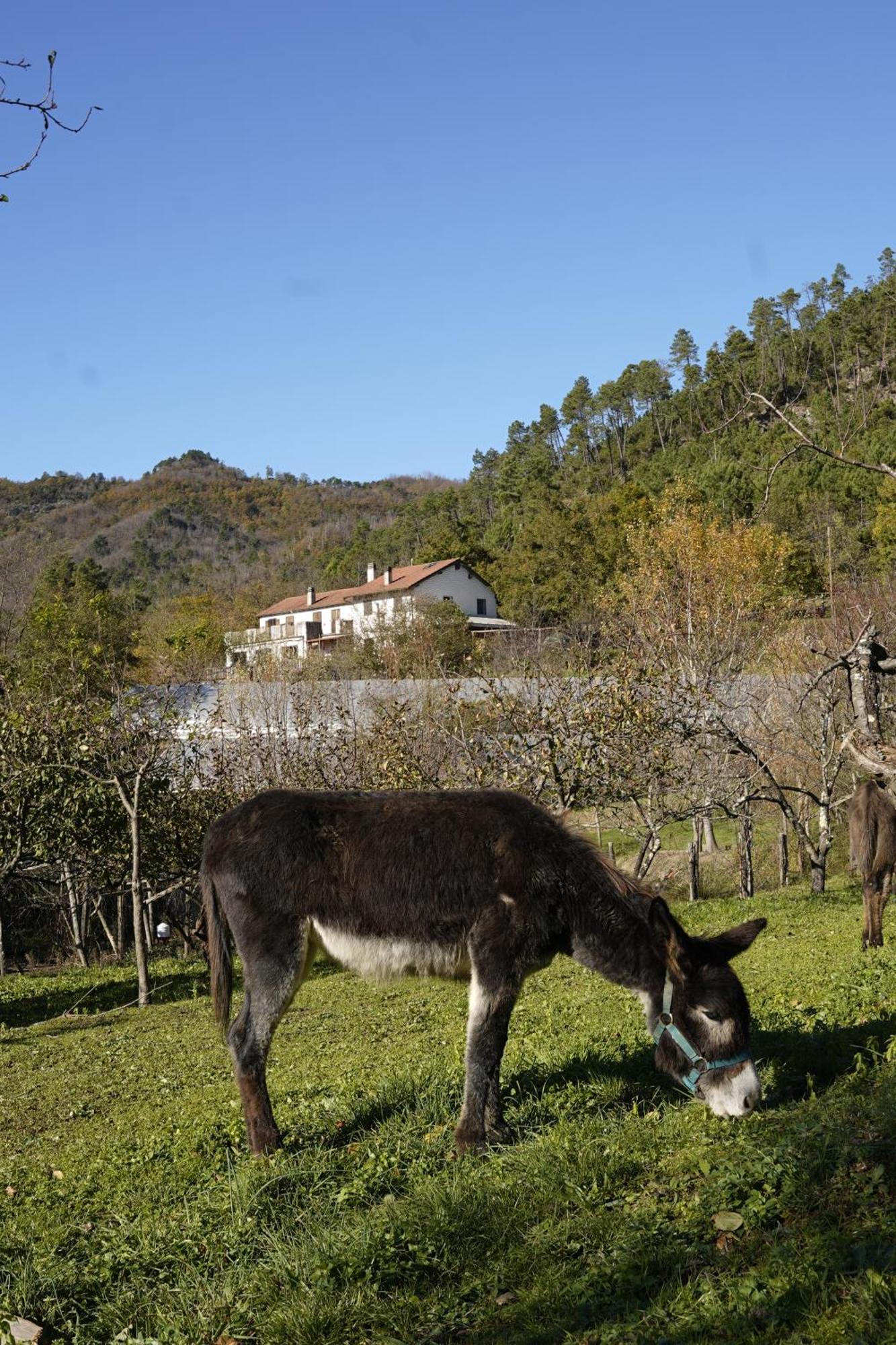 Agriturismo Ca Du Chittu Карро Экстерьер фото